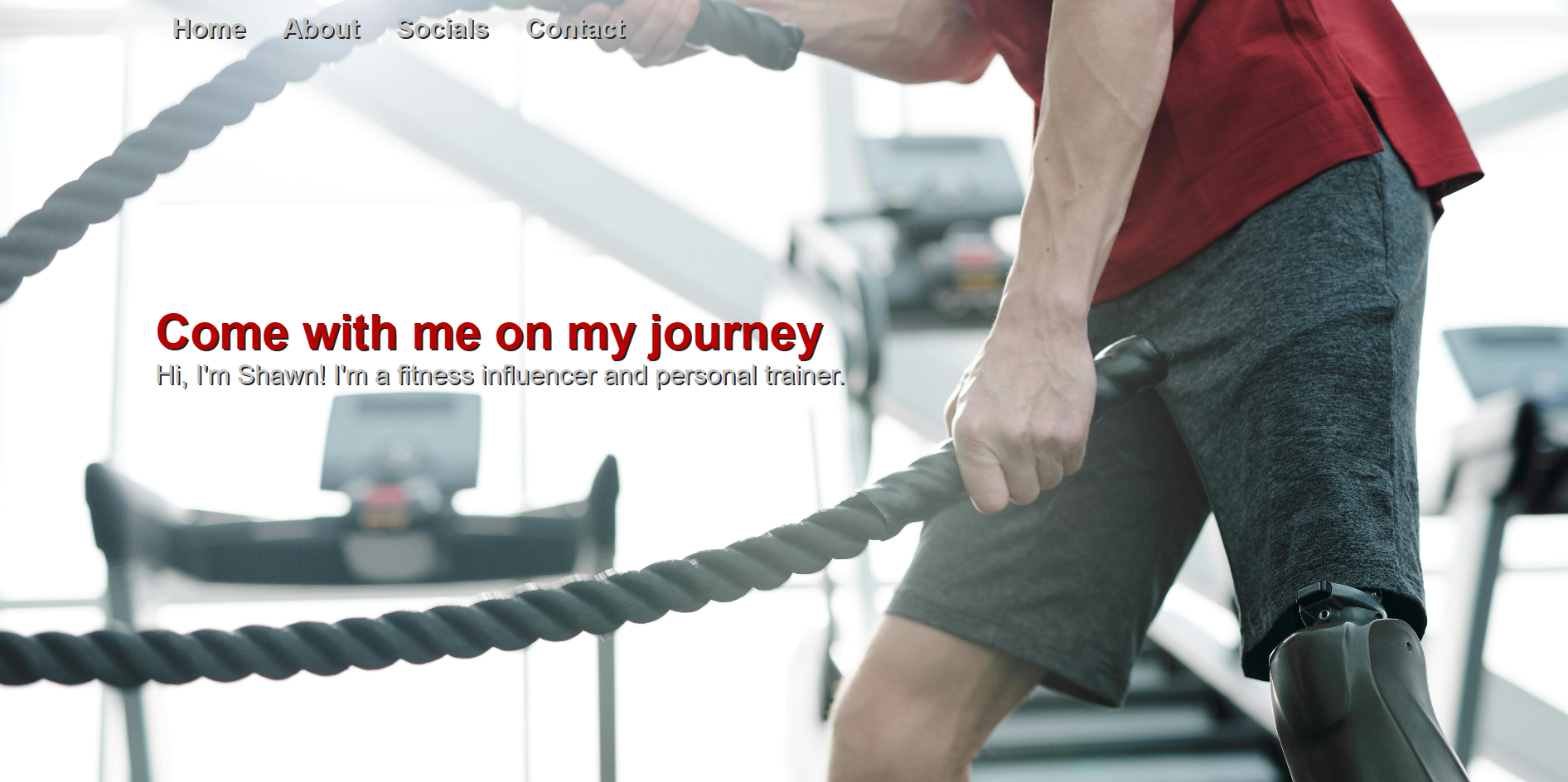 Personal / Influencer website